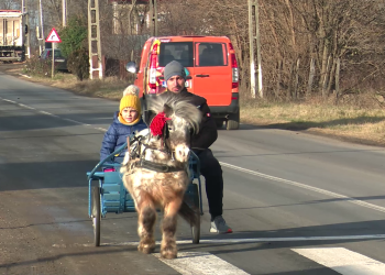 VIDEO Boboteaza în Smeeni. Poneii își câștigă locul în inima localnicilor