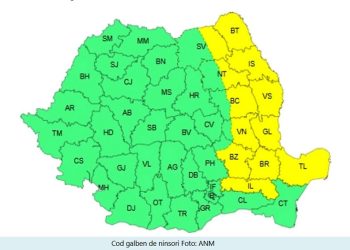 Cod Galben Ninsori Site
