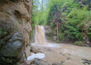 Cascada N