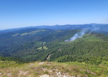 Img 20250702 Wa0007