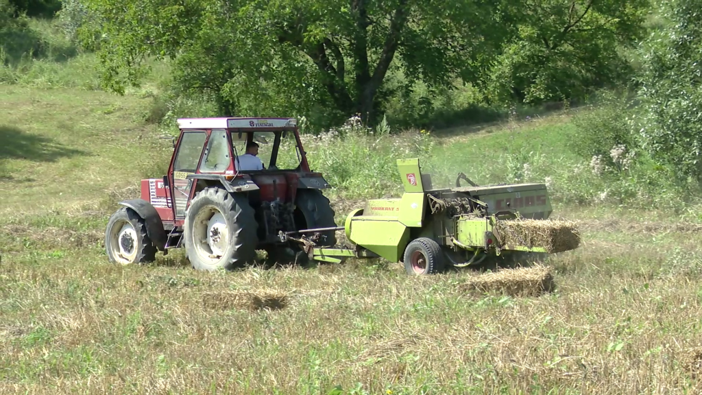 Vaci Tractor (1)