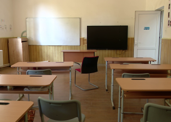Scoli Clase (1)