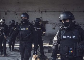 Politisti