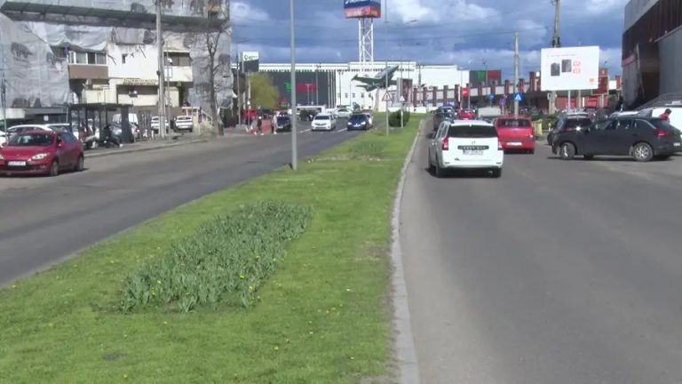 Frasinet