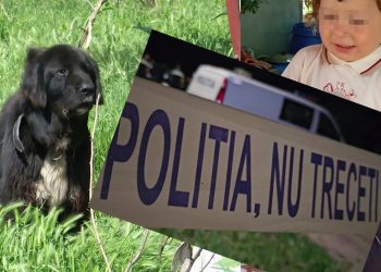 Dosar penal pentru ucidere din culpă, după moartea unui copil de 4 ani atacat de câine