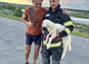 Un miel prins între bolovani și un profesor care a refuzat să-l abandoneze. Povestea unei salvări emoționante