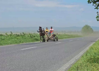 VIDEO Rafale cu praf în Bărăgan și Câmpia Râmnicului. Vizibilitate redusă pe DN22, în zona Râmnicelu