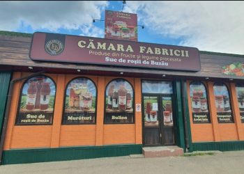 Pastă de tomate, la cel mai mic preț! Oferta săptămânii de la Legume Fructe Buzău, la Cămara Frabricii