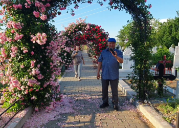 VIDEO Locul din Buzău care pare desprins din povești. Vizitatorii spun că realitatea e mai frumoasă decât în fotografii