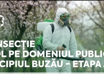Primăria Buzău: acțiunea de dezinsecție din 10 şi 13 iulie, amânată din cauza vremii pe 14 şi 15 iulie