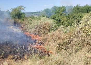 VIDEO Incendiu de vegetație uscată, pe aproximativ 100 de hectare, în comuna buzoiană Podgoria
