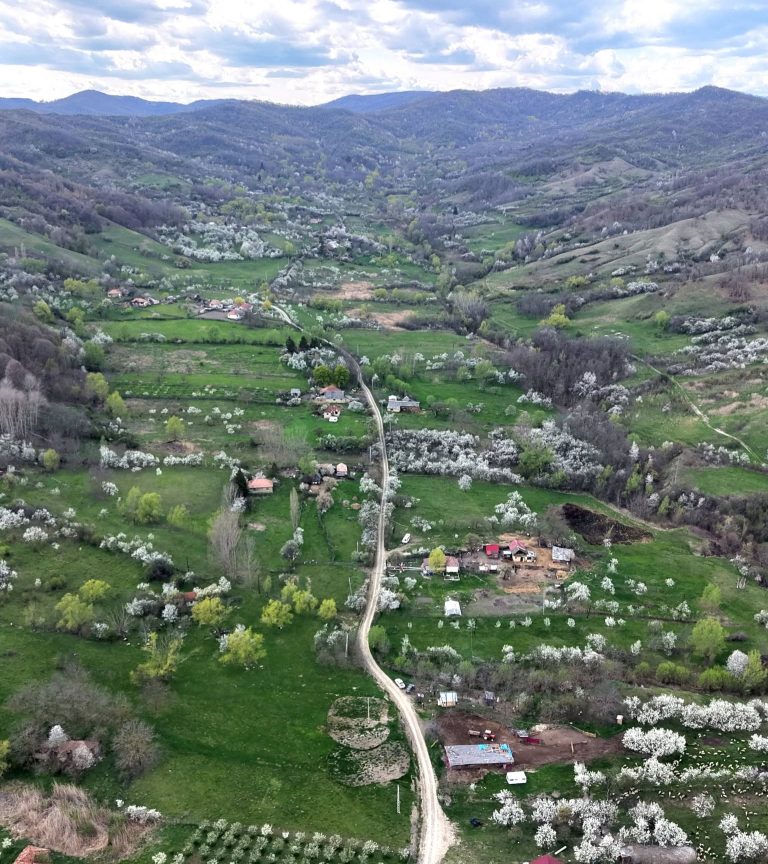 Foto Radu Iftinoiu