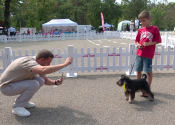 FOTO Spectacol canin în Parcul Crâng. 200 de câini s-au întrecut pentru titluri
