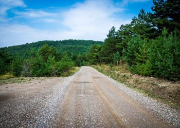 Șoseaua de la 800 de metri altitudine care poate deschide nordul Buzăului către Transilvania