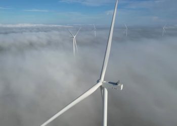 VIDEO Peste 70 de eoliene cât clădirile cu 50 de etaje, în Bărăganul buzoian. Vor alimenta 250.000 de gospodării