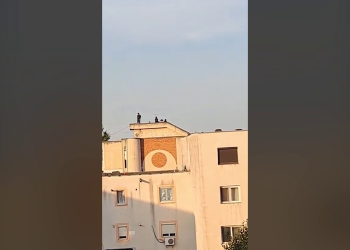VIDEO Teribilism la înălțime. Trei minori, filmați pe acoperișul unui bloc din Râmnicu Sărat