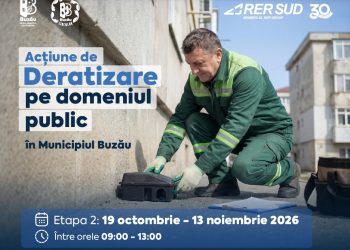 Primăria Buzău, anunț privind organizarea celei de-a doua etape de deratizare, în perioada 19 octombrie-13 noiembrie 2026